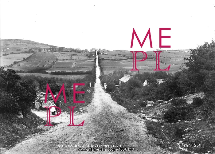 : Dolly's Brae, Castlewellan : Dolly's Brae, Castlewellan