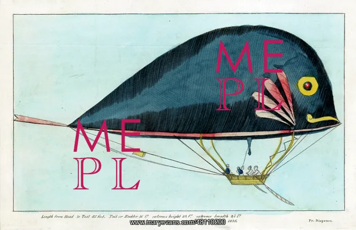 : Dolphin airship by Jean Samuel Pauly and Durs Egg : Dolphin airship by Jean Samuel Pauly and Durs Egg