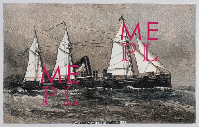 : Dolphin Steamer : Dolphin Steamer