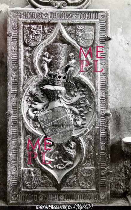 : Dom of Wiener Neustadt : Dom of Wiener Neustadt