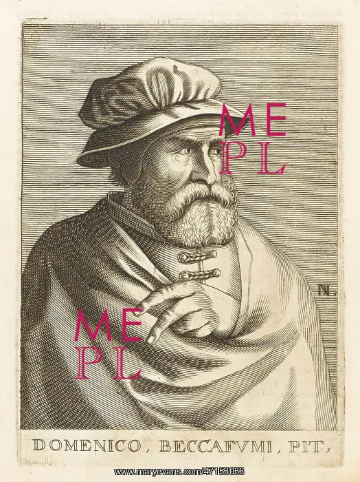 : DOMENICO BECCAFUMI : DOMENICO BECCAFUMI