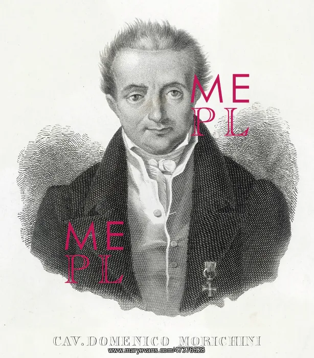 : DOMENICO MORICHINI : DOMENICO MORICHINI