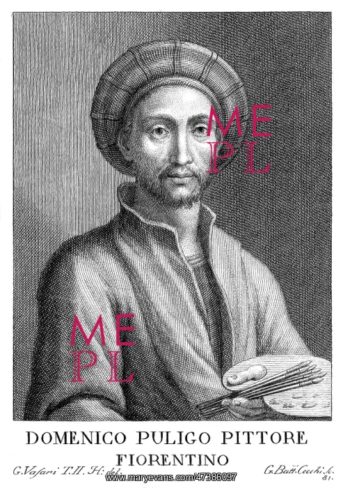 : DOMENICO PULIGO : DOMENICO PULIGO