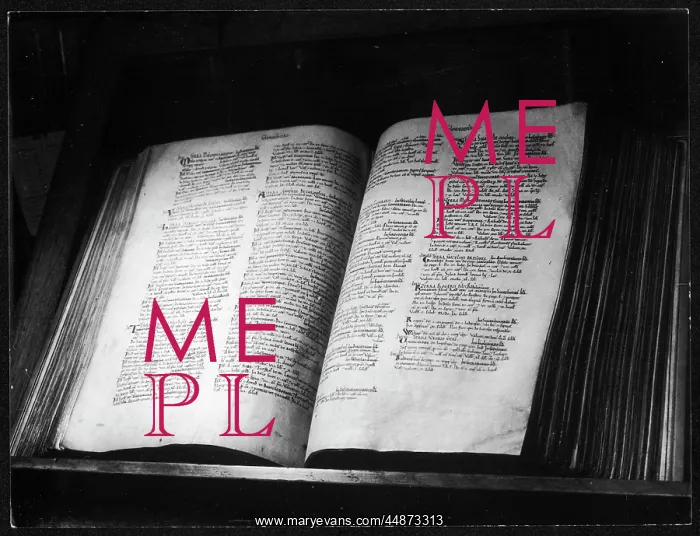 : DOMESDAY BOOK : DOMESDAY BOOK