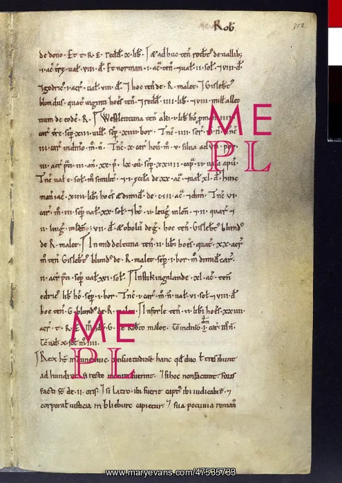 : The Domesday Book : The Domesday Book