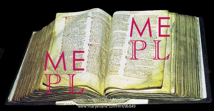 : The Domesday Book : The Domesday Book