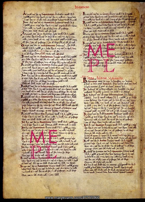 : The Domesday Book, Devon : The Domesday Book, Devon