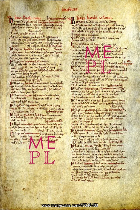 : The Domesday Book, Herefordshire : The Domesday Book, Herefordshire