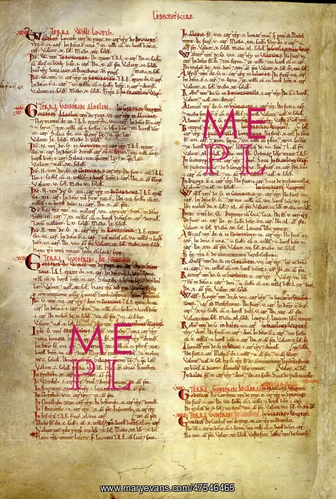 : The Domesday Book, Leicestershire : The Domesday Book, Leicestershire