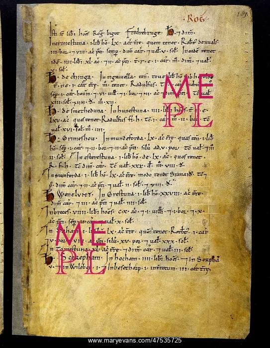 : The Domesday Book, Norfolk : The Domesday Book, Norfolk