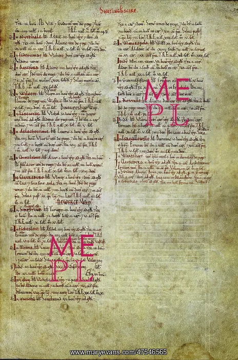 : The Domesday Book, Nottinghamshire : The Domesday Book, Nottinghamshire