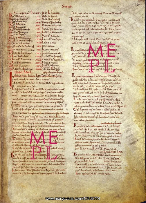 : The Domesday Book, Surrey : The Domesday Book, Surrey
