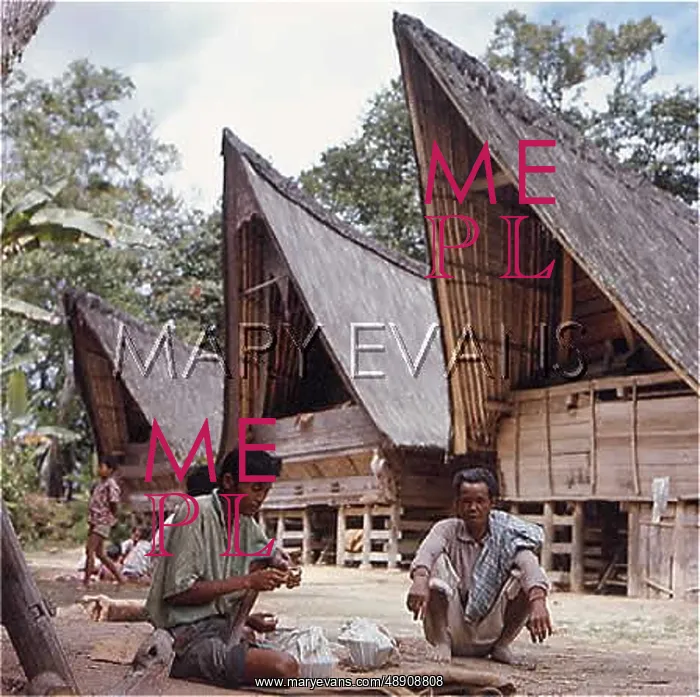 : DOMESTIC BUILDING ASIA : DOMESTIC BUILDING ASIA