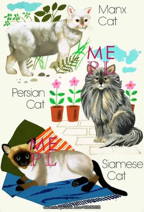  : Domestic cats