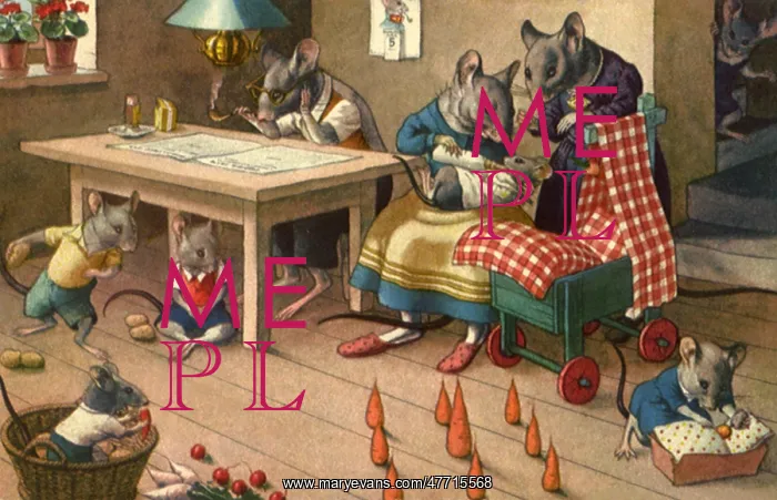 : Domestic Mouse Scene : Domestic Mouse Scene