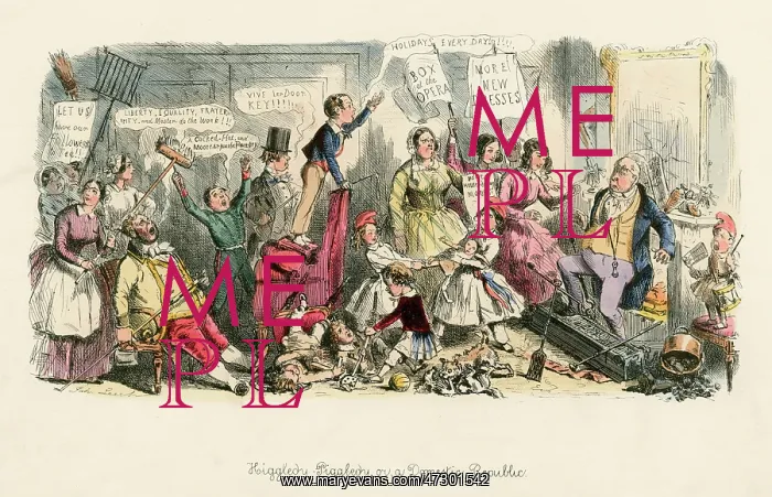 : DOMESTIC REVOLUTION : DOMESTIC REVOLUTION