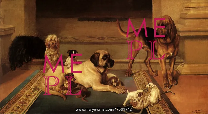  : Domestic Scene