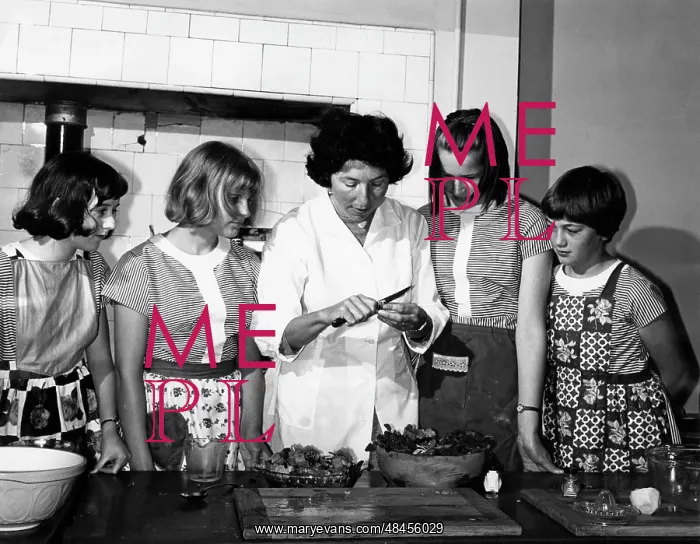 : DOMESTIC SCIENCE LESSON : DOMESTIC SCIENCE LESSON