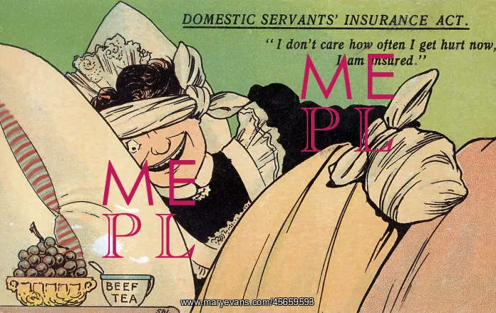 : Domestic Servants Insurance Act - Comic Postcard : Domestic Servants Insurance Act - Comic Postcard