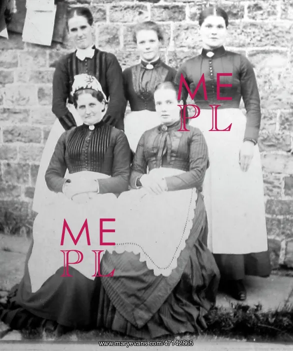  : Domestic servants, Victorian period
