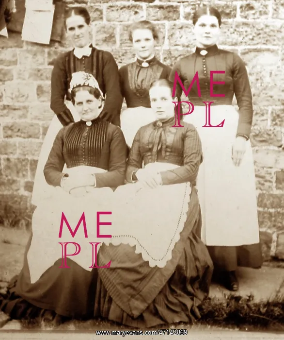  : Domestic servants, Victorian period