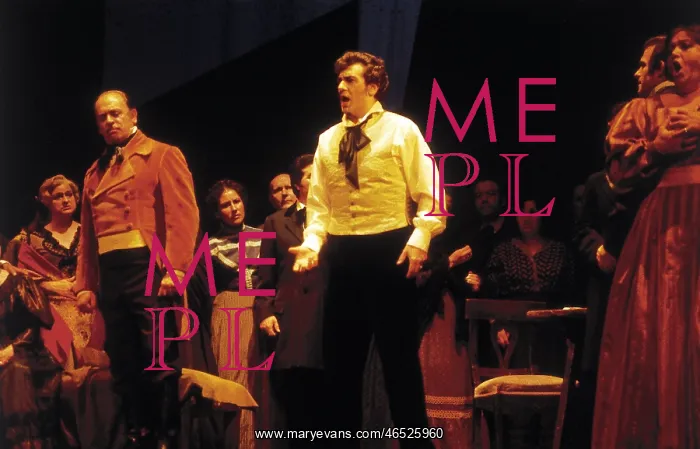 : DOMINGO EMBRIL, Pl cido (1941)