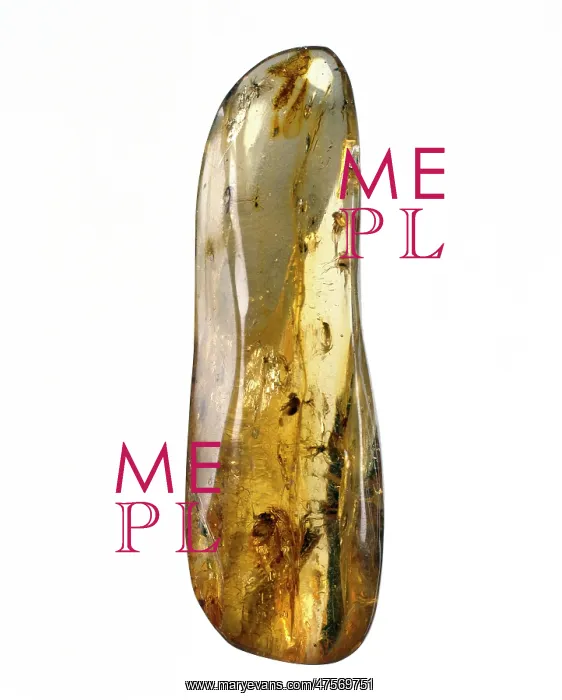 : Dominican copal : Dominican copal