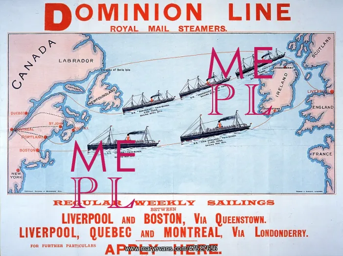 : Dominion Line steamers : Dominion Line steamers