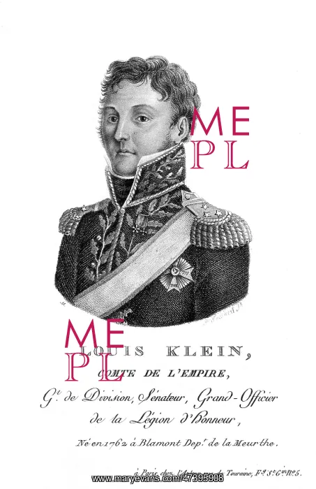 : DOMINIQUE COMTE KLEIN : DOMINIQUE COMTE KLEIN