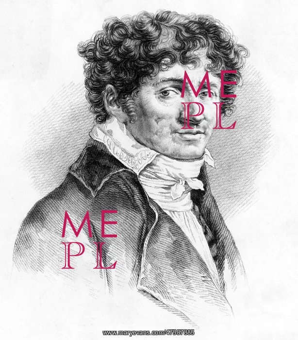 : DOMINIQUE DENON : DOMINIQUE DENON