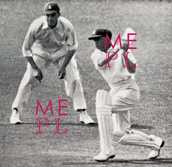 : Don Bradman batting at Perth, Hammond in slips : Don Bradman batting at Perth, Hammond in slips