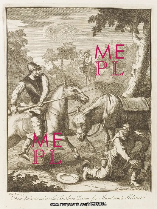: DON QUIXOTE 1 : DON QUIXOTE 1