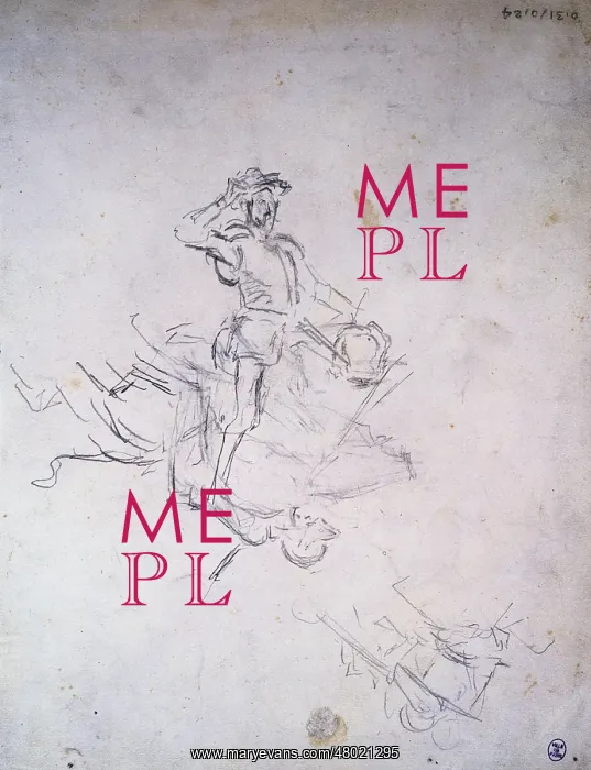 : Don Quixote : Don Quixote