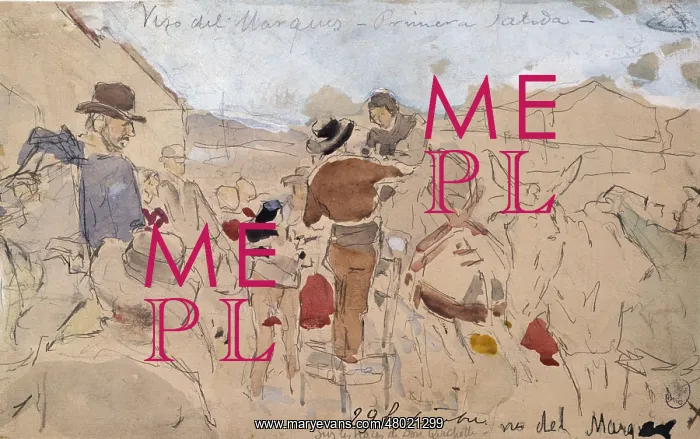: Don Quixote : Don Quixote