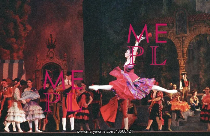 : Don Quixote Ballet, 1994 : Don Quixote Ballet, 1994