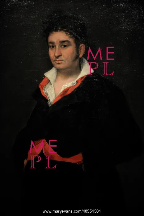 : Don Ramon Satue, by Goya : Don Ramon Satue, by Goya