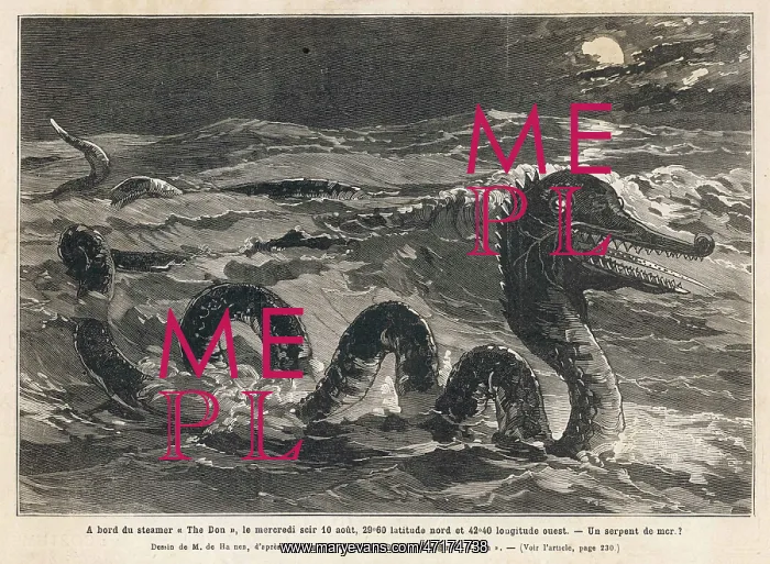 : Don Sea Serpent : Don Sea Serpent