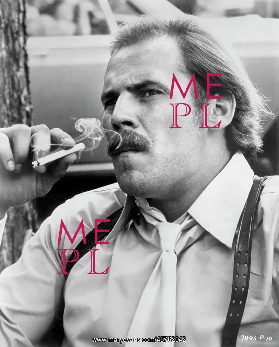 : Don Stroud - actor : Don Stroud - actor