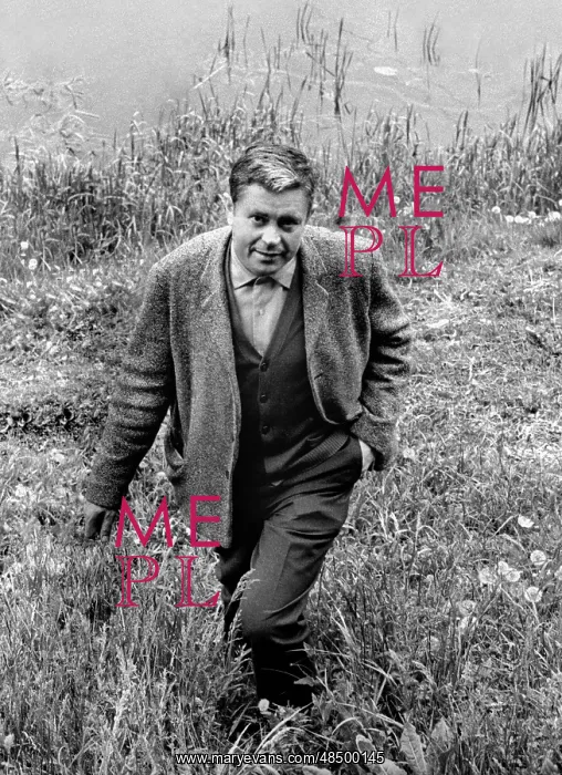 : Donatas Banionis, 1968 : Donatas Banionis, 1968