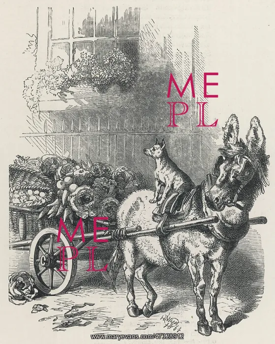 : Donkey - Cart - Dog - 1896 : Donkey - Cart - Dog - 1896