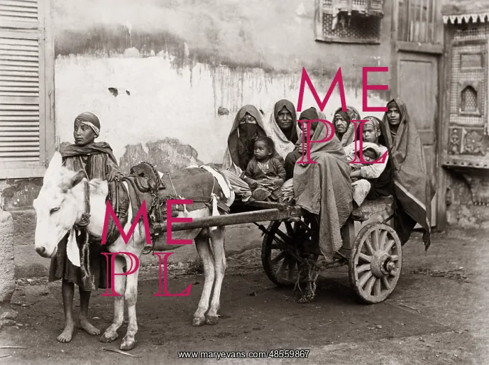 : Donkey and cart with passengers, Cairo, Egypt, circa 1890 : Donkey and cart with passengers, Cairo, Egypt, circa 1890