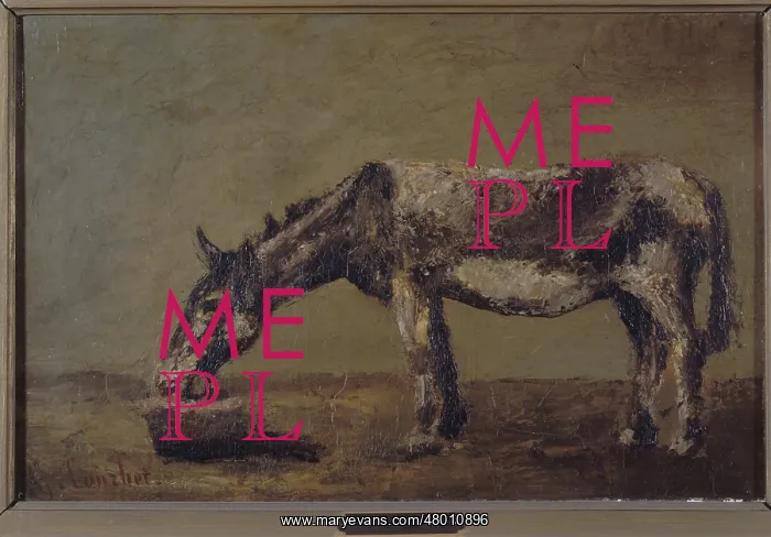 : The donkey, eating oats : The donkey, eating oats