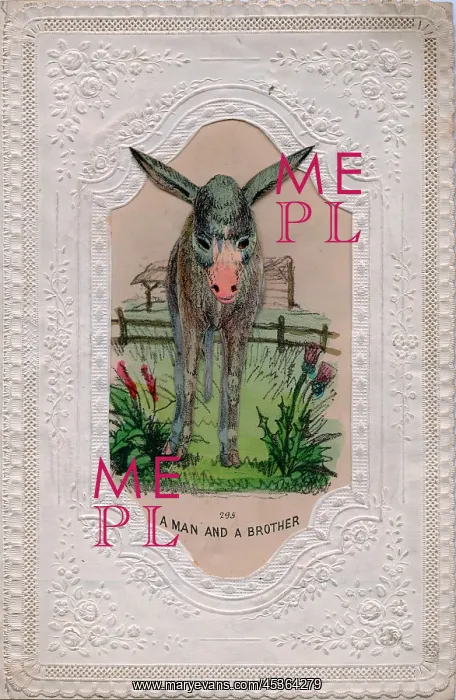 : Donkey in a field on a comic greetings card : Donkey in a field on a comic greetings card