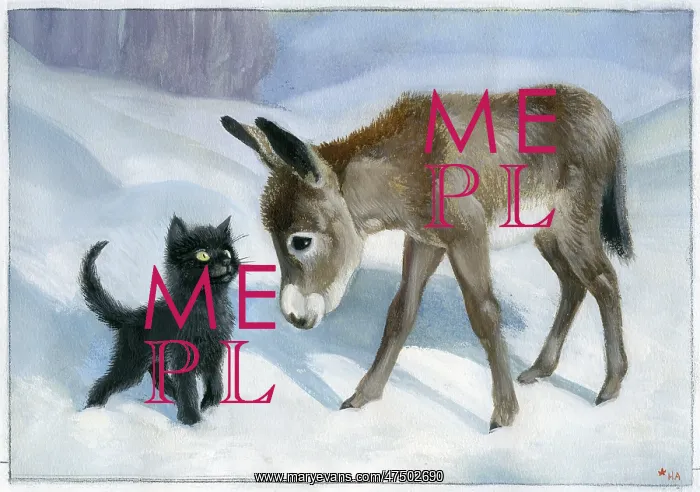  : Donkey foal and black kitten in the snow