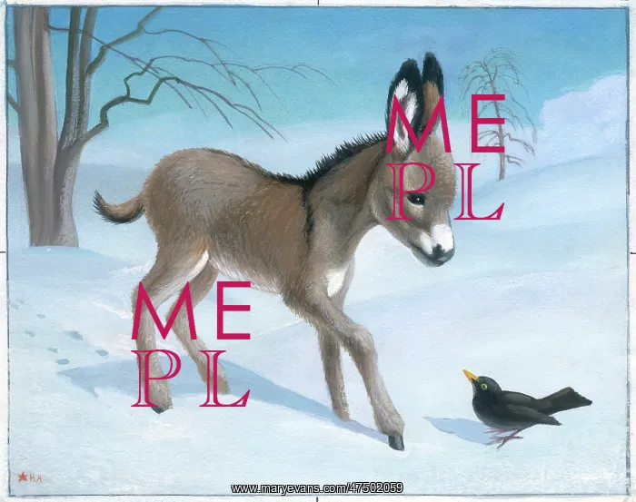  : Donkey foal and blackbird in the snow