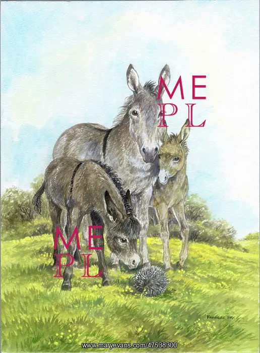  : Donkey with two foals