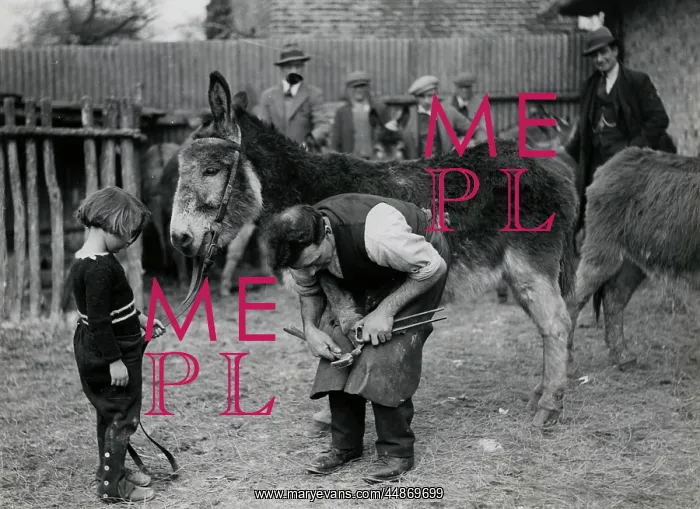 : DONKEY GETS NEW SHOES : DONKEY GETS NEW SHOES