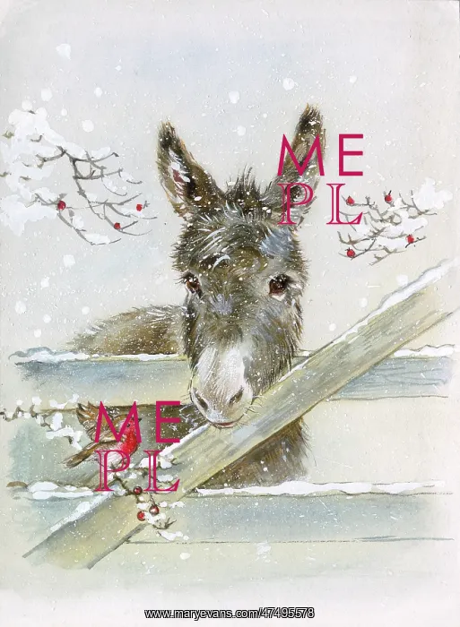 : Donkey looking over snowy Gate : Donkey looking over snowy Gate