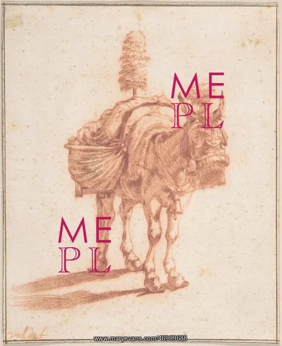 : A Donkey, mid-17th century, Red chalk, sheet: : A Donkey, mid-17th century, Red chalk, sheet: