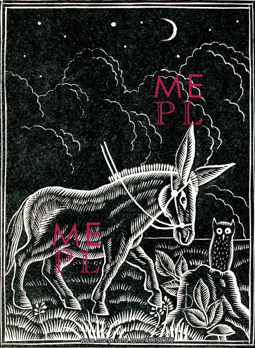 : Donkey and owl at night : Donkey and owl at night